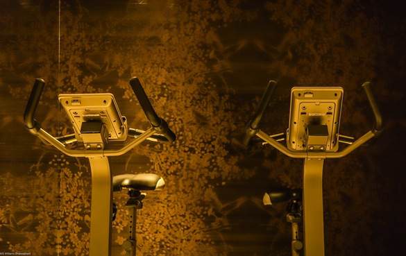 Riviera Travel, MS William Shakespeare, Fitness Bikes.jpg